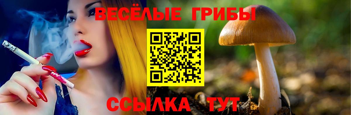 Псилоцибиновые грибы ЛСД  как найти закладки  Вязьма  Вход с VPN 